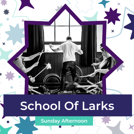 School Of Larks